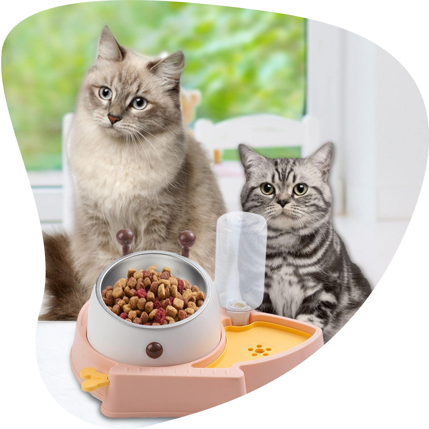 Pet Feeding Essentials