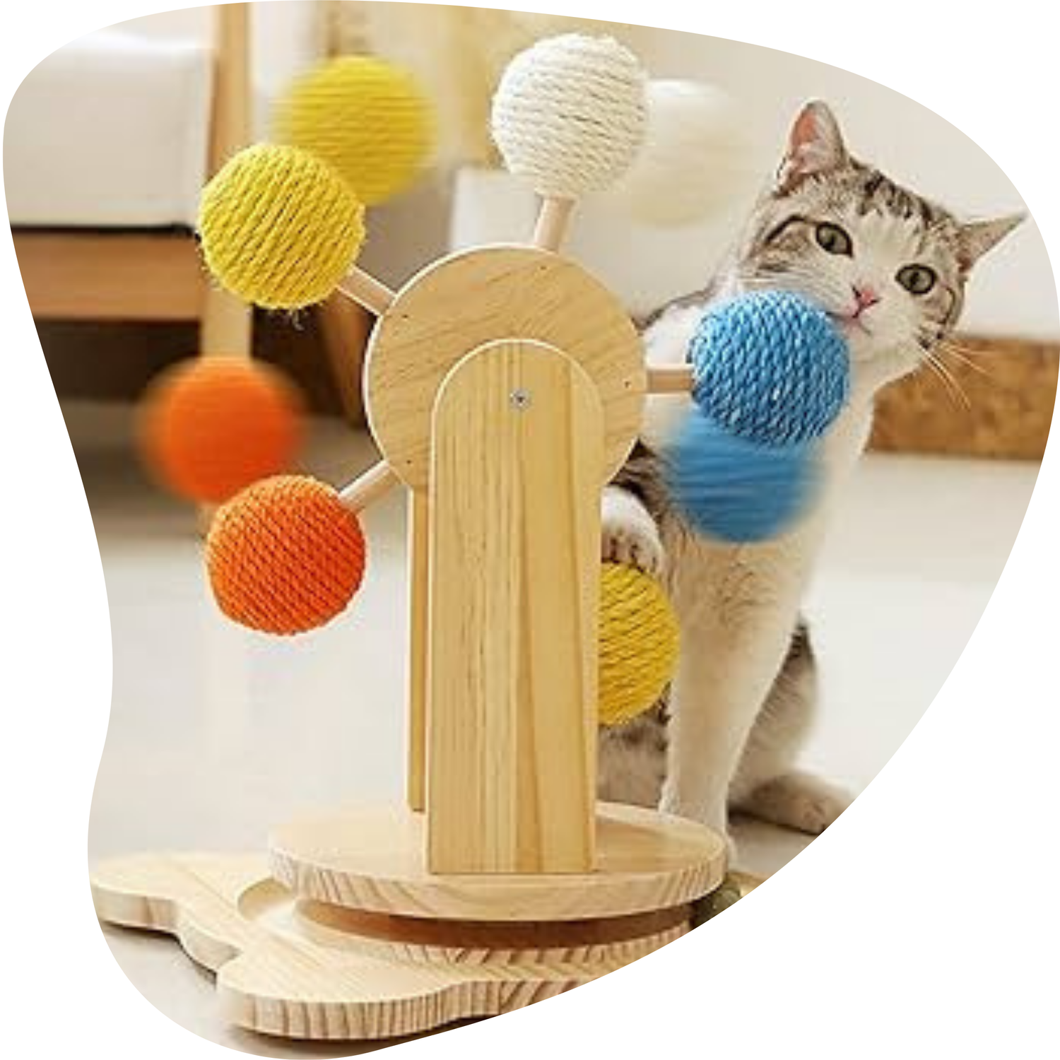 Pet Toys & Fun