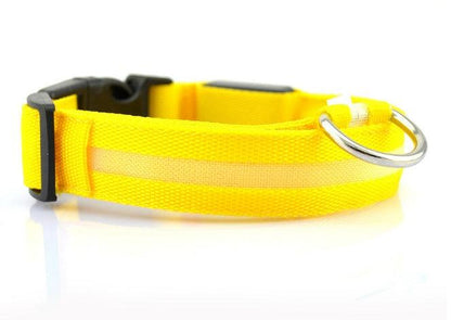Rechargeable Safety LED Dog Collar