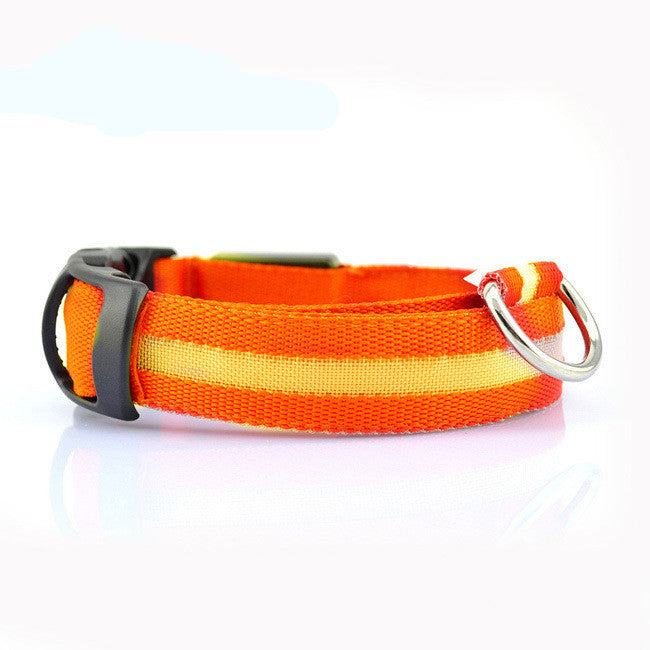 Rechargeable Safety LED Dog Collar