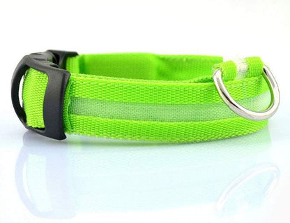 Rechargeable Safety LED Dog Collar
