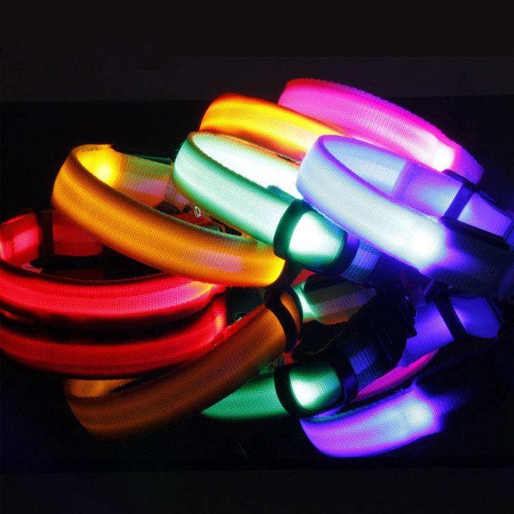 Rechargeable Safety LED Dog Collar