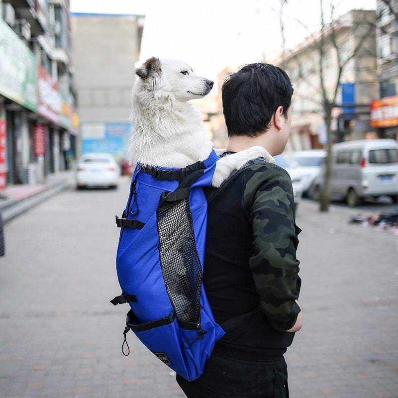 Portable Dog Carrier