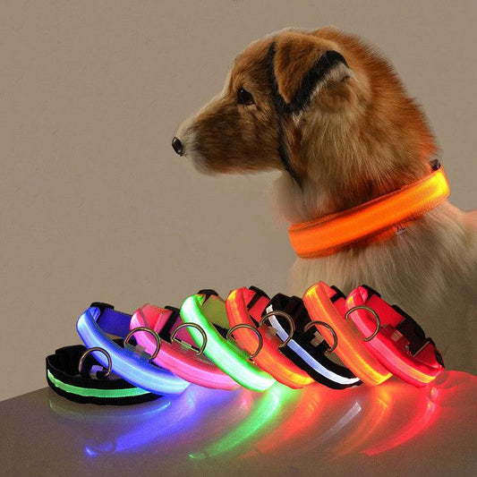 Rechargeable Safety LED Dog Collar