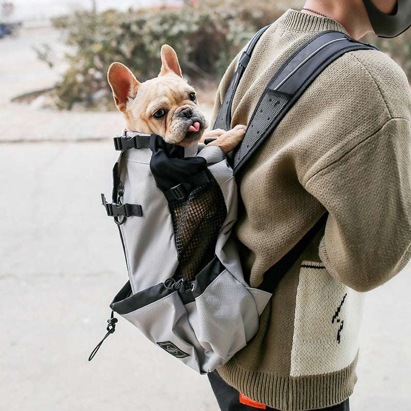 Portable Dog Carrier