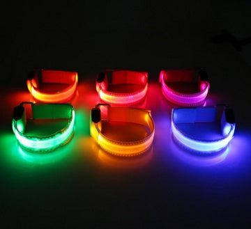Rechargeable Safety LED Dog Collar