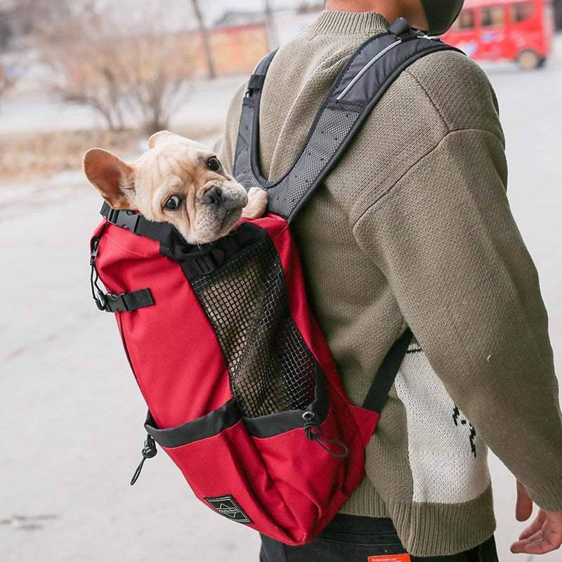 Portable Dog Carrier