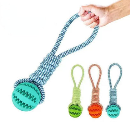 Interactive Dog Treat Ball